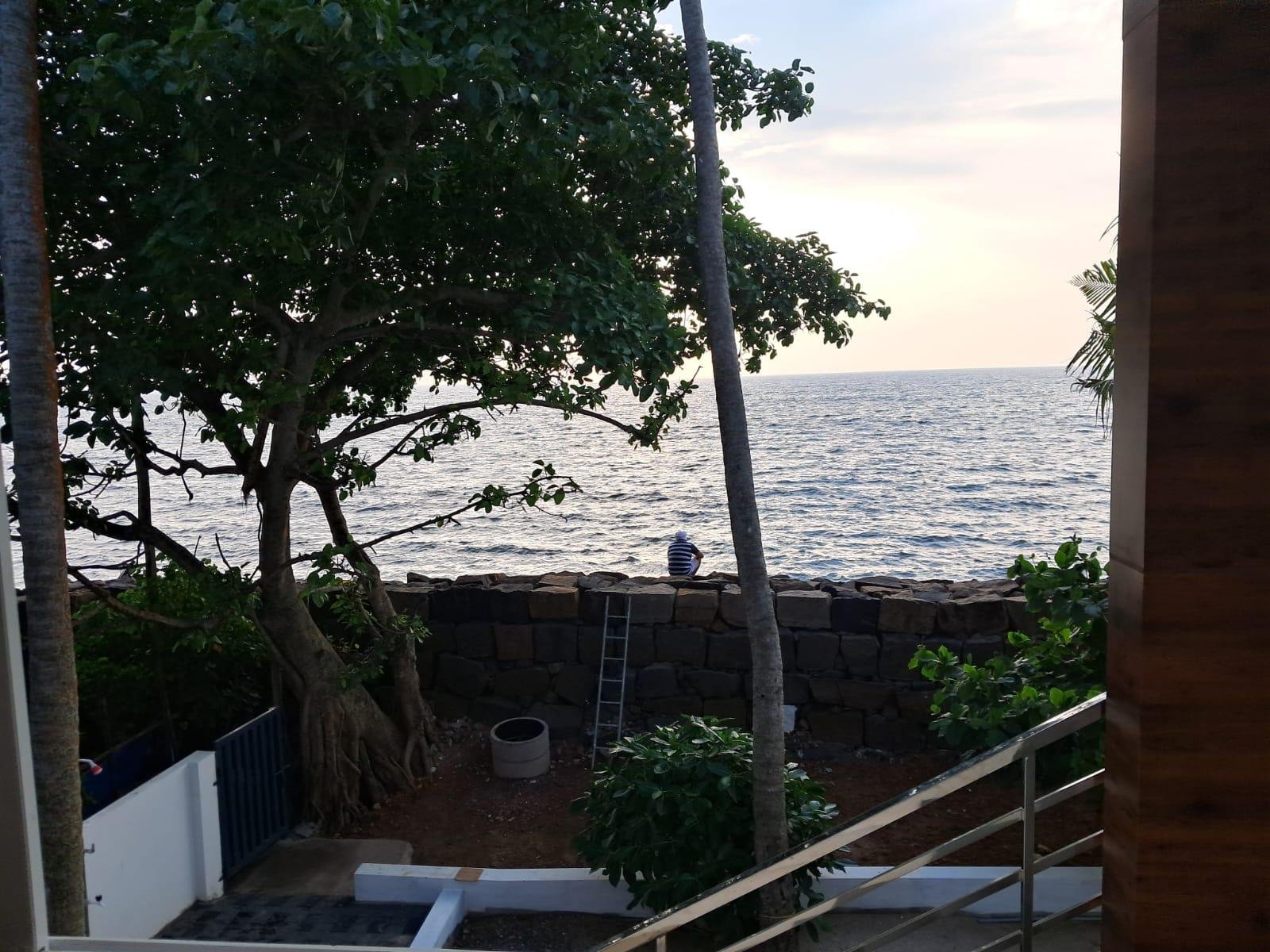 Sea Breeze Gold Room x Solis Nature