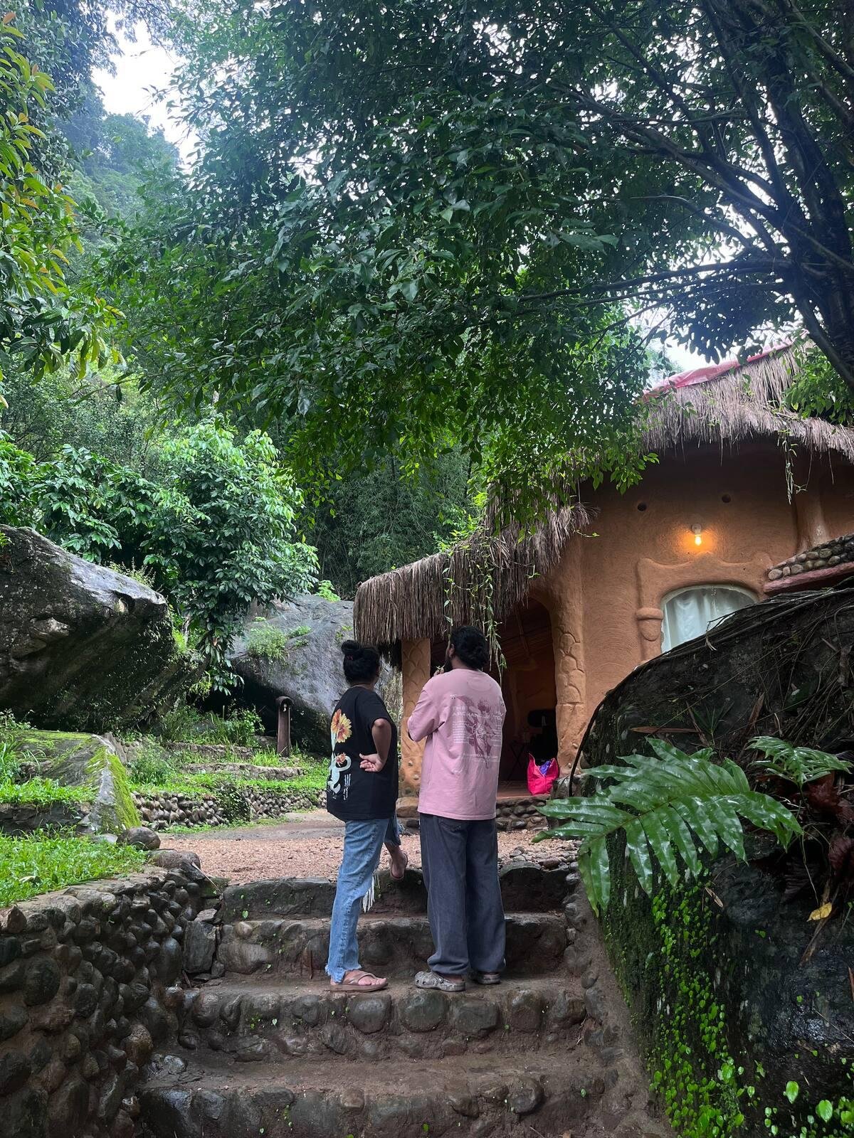The Wild Mysteries x Solis Nature