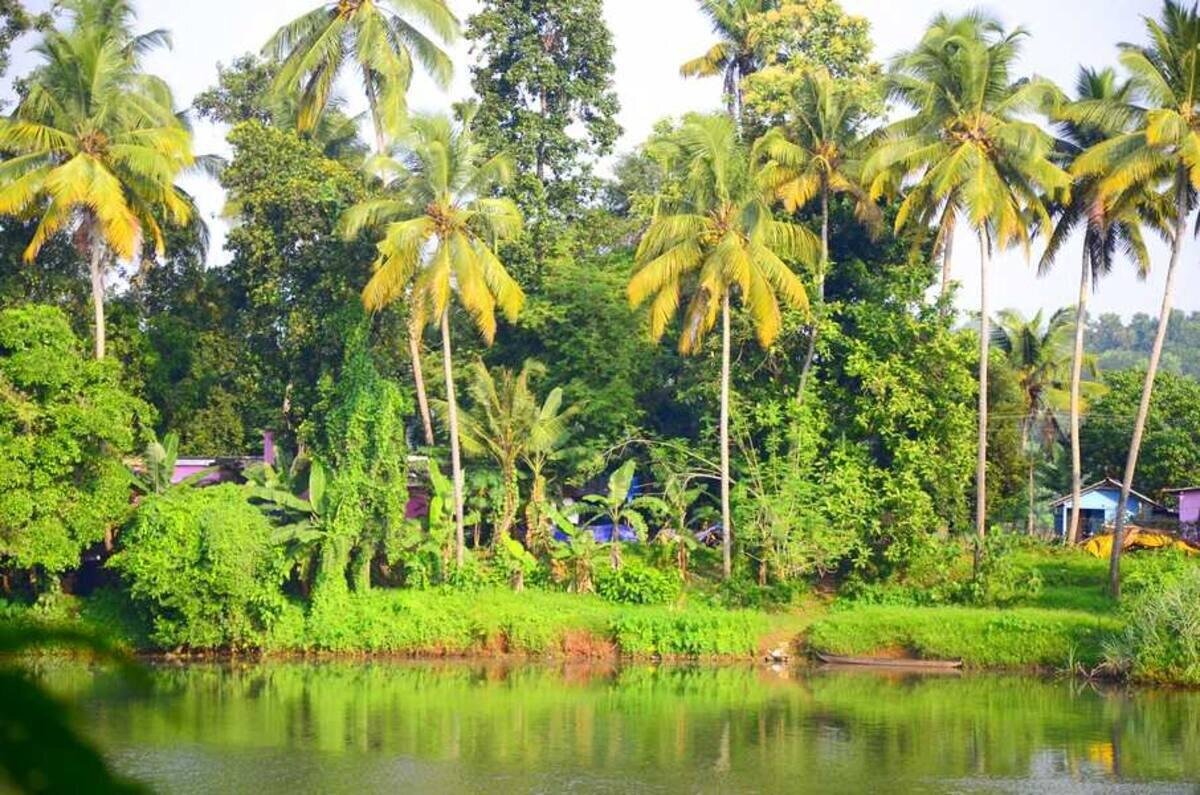 Pranayakulam Homestay x Solis Nature