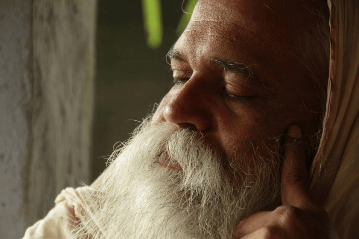 Pranayakulam Homestay x Solis Nature