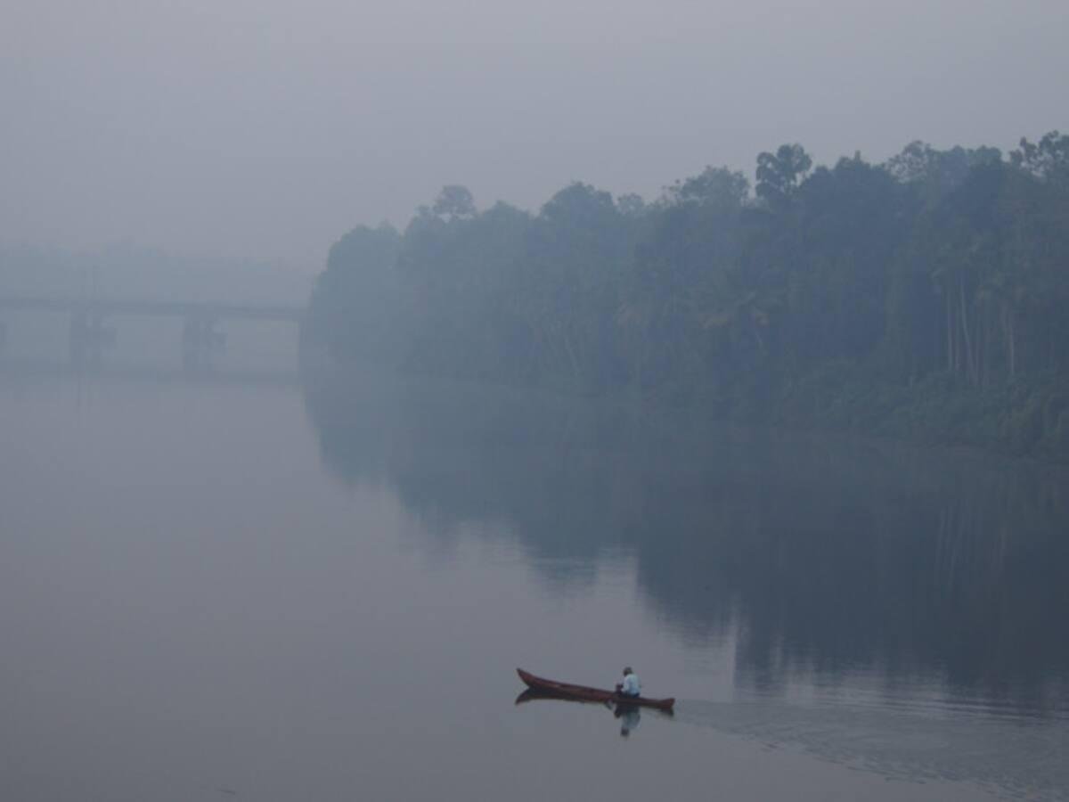 Pranayakulam Homestay x Solis Nature