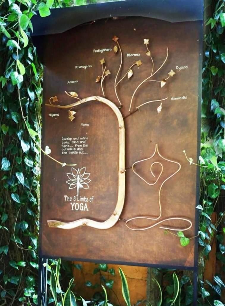 Munkudil Ayurveda Yoga Retreat x Solis Nature