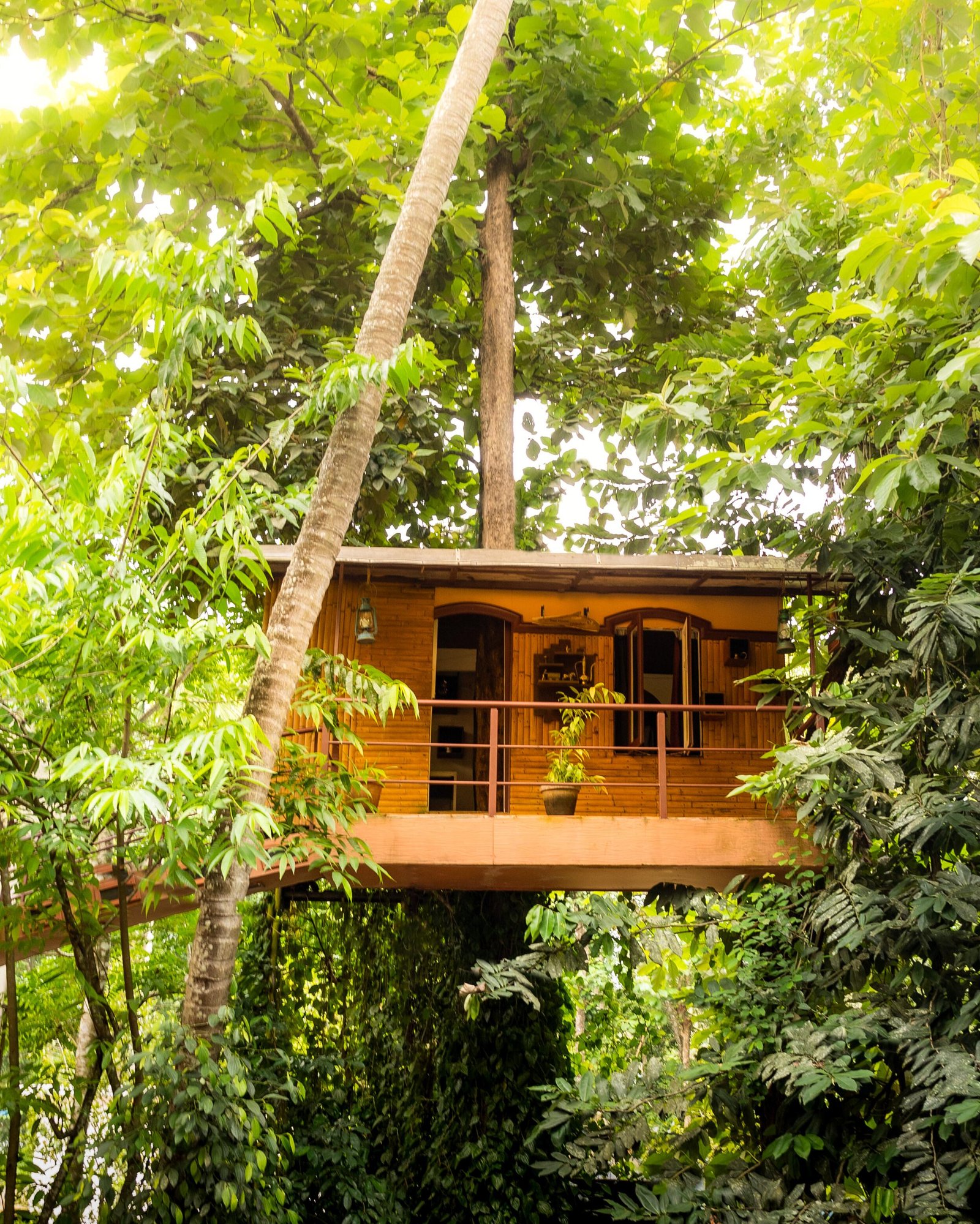 Munkudil Ayurveda Yoga Retreat x Solis Nature