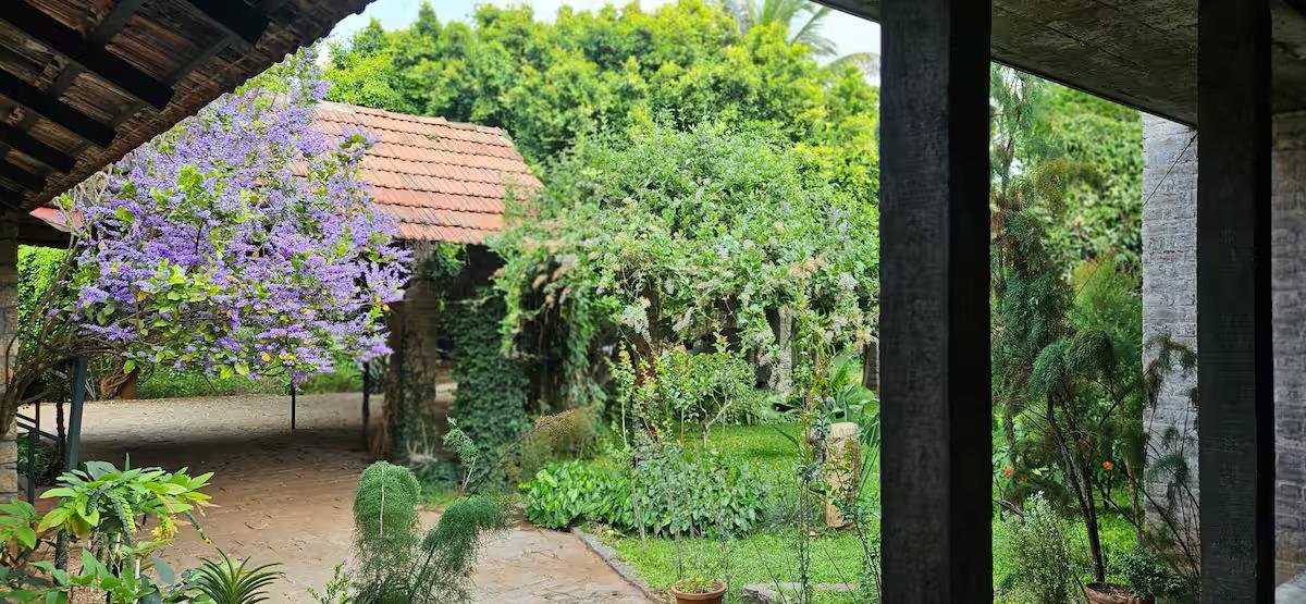 Pannadikadu Ranch House x Solis Nature