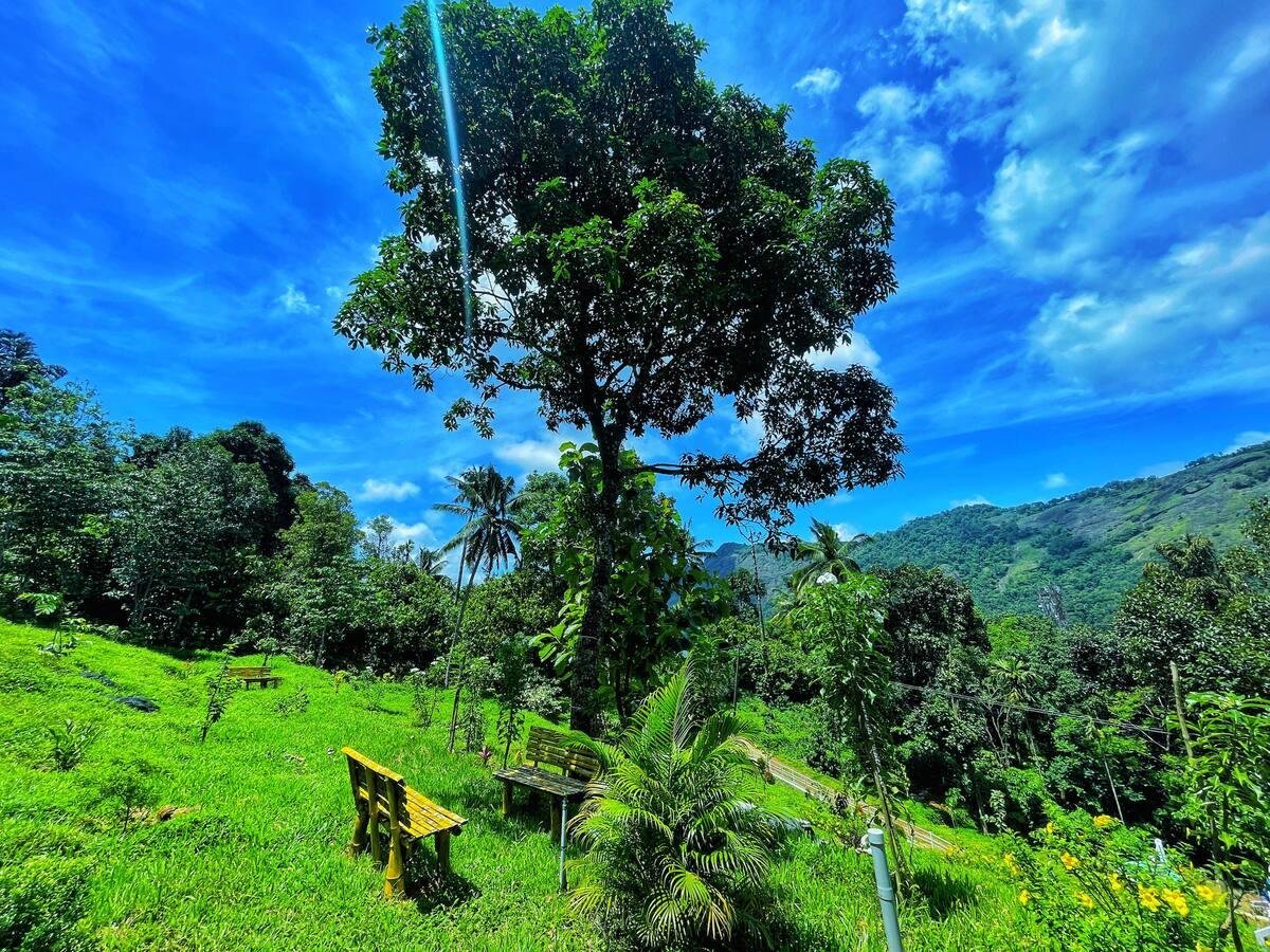 Dome stays with Lovely Nature Glamping x Solis Nature