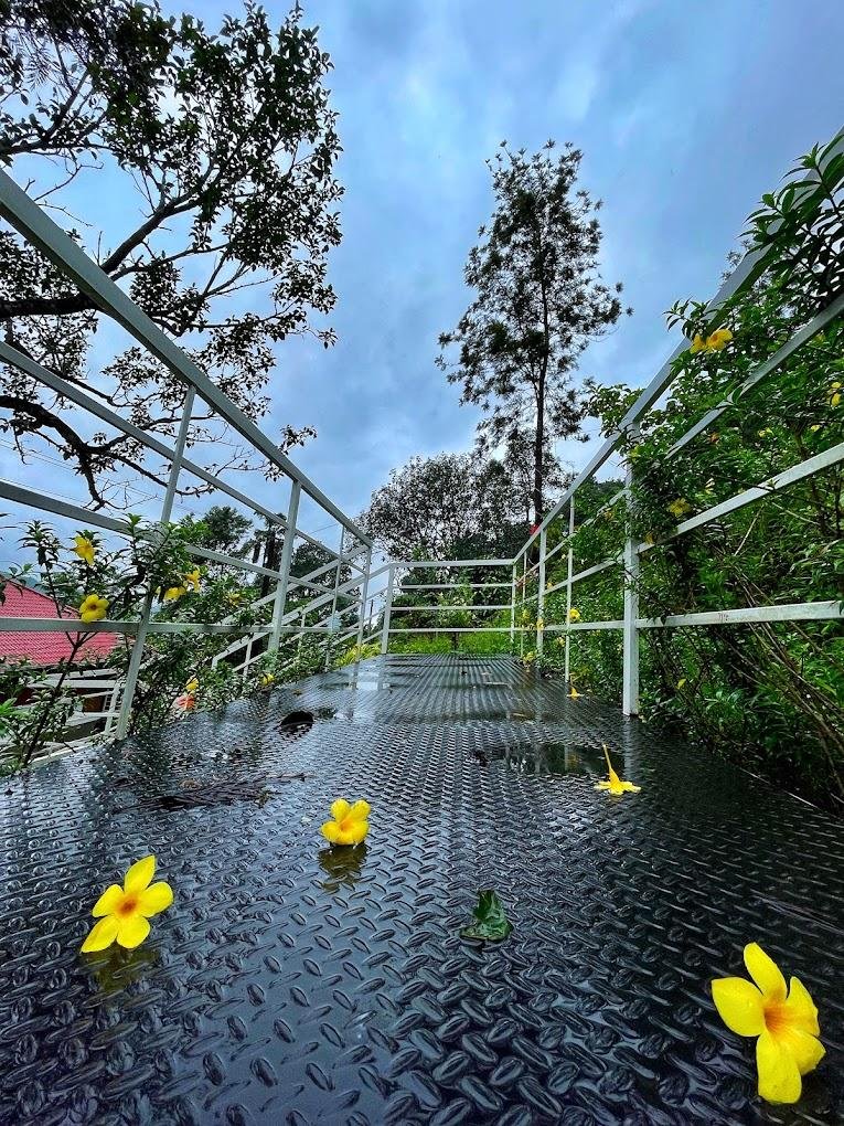 Domestay with mountain view Gateway x Solis Nature