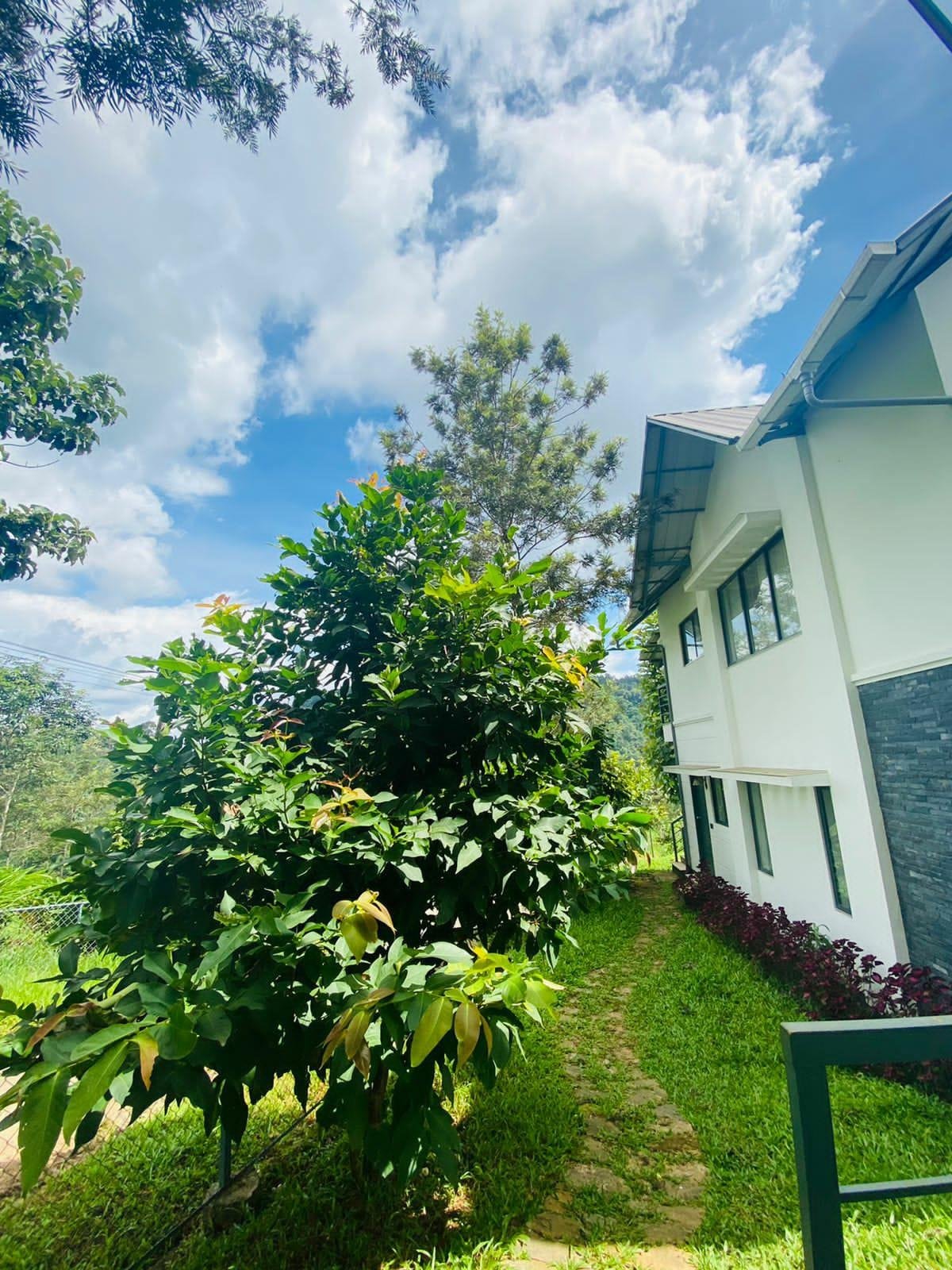 Mannoor Farms Mountain View Stays x Solis Nature