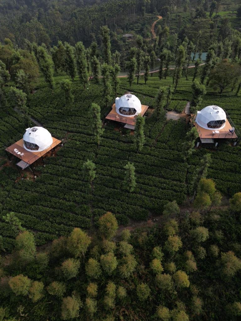 Vythiri Tea Valley  Domes & Tenting 3 x Solis Nature