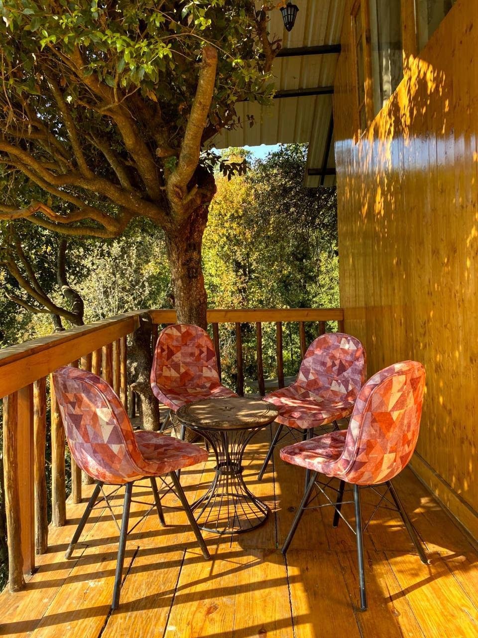 Tree Nest Resort by The HFE x Solis Nature