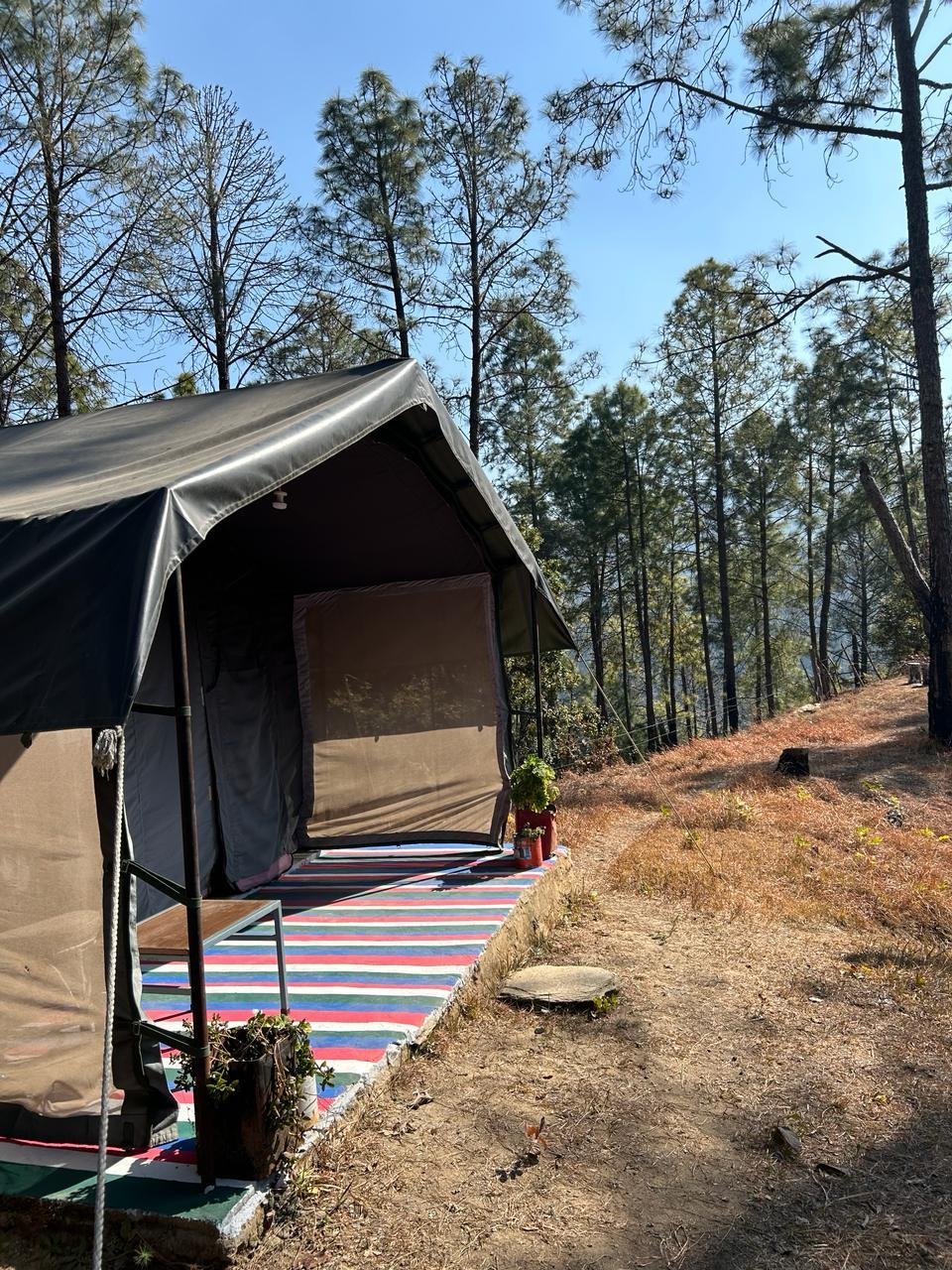 Swiss Safari Tents x Solis Nature