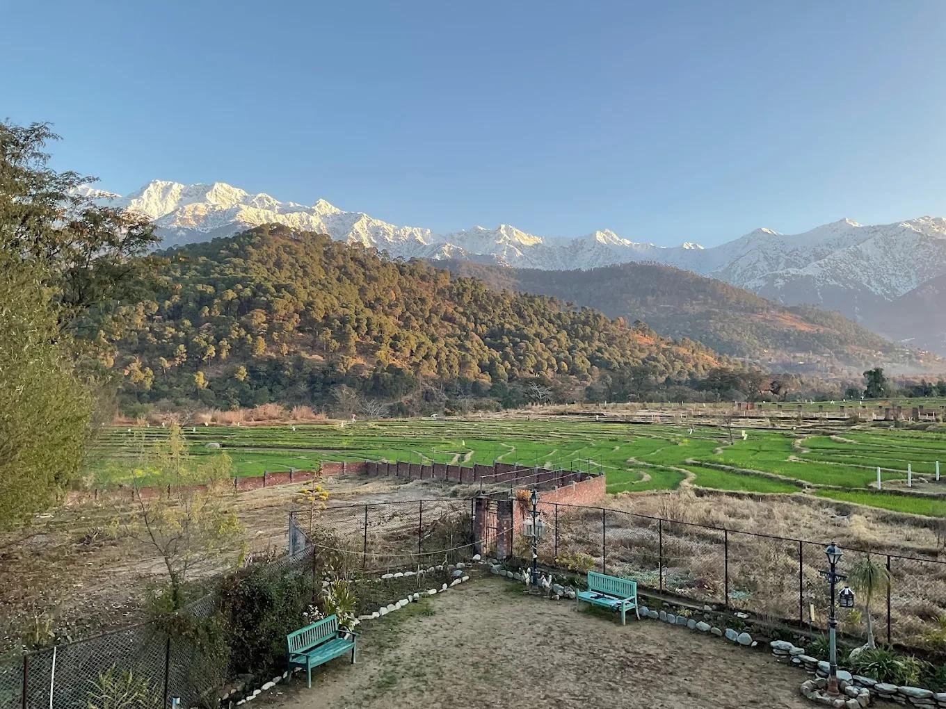 Chinar Chalet x Solis Nature
