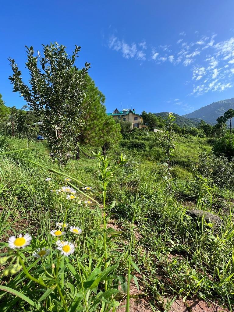 Musafir a Homestay x Solis Nature