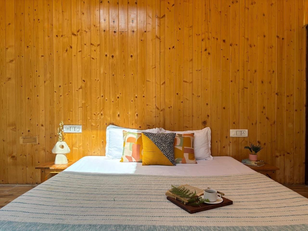The acoustic cabin x Solis Nature