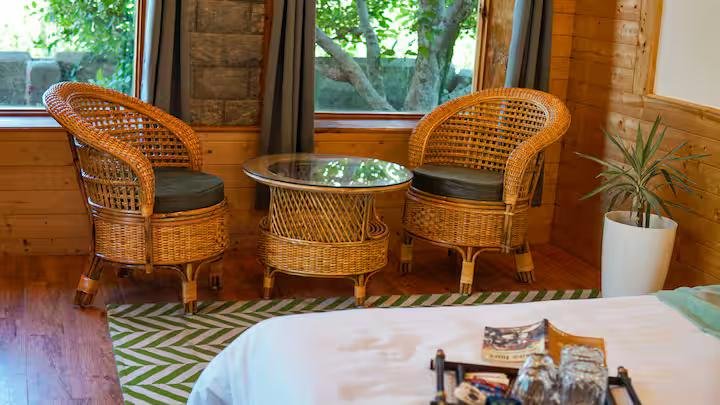 Plush Room with Orchard View x Solis Nature