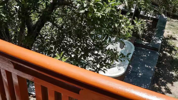Rare Find : 3-Room with Living Area x Solis Nature