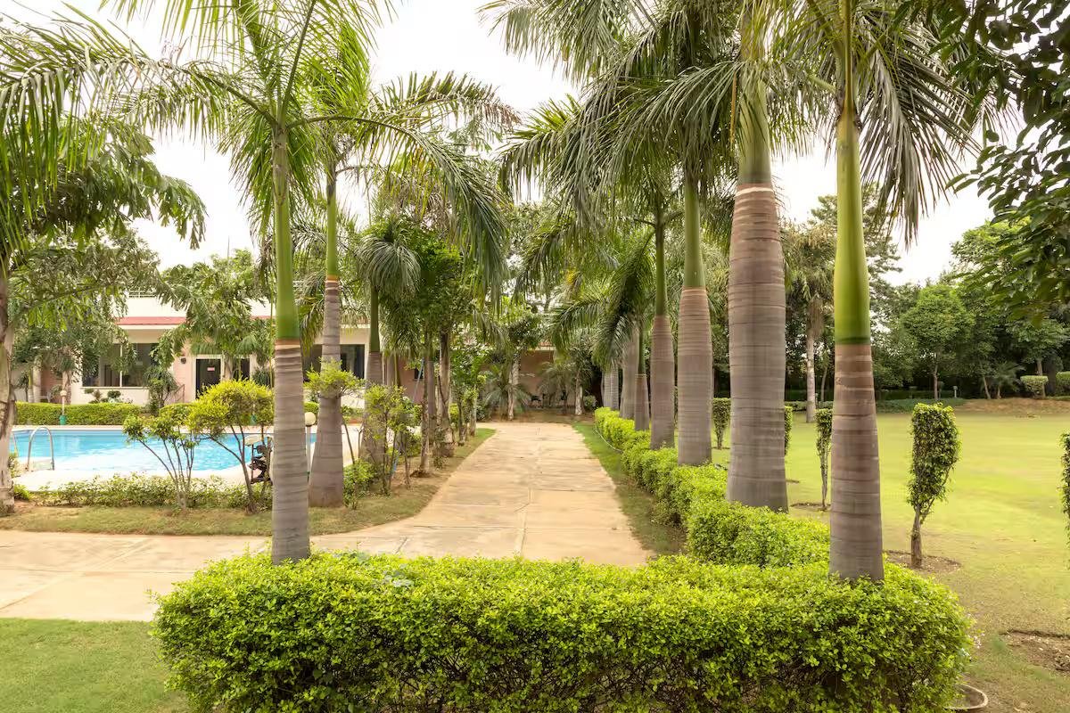 Beri Farm- A 5★ natural haven in Manesar (NCR) x Solis Nature