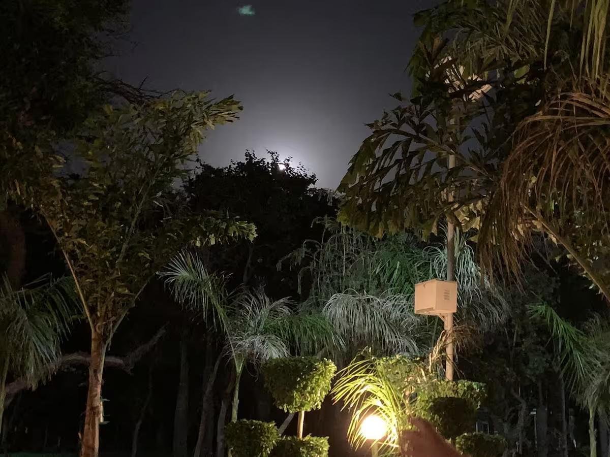 Beri Farm- A 5★ natural haven in Manesar (NCR) x Solis Nature
