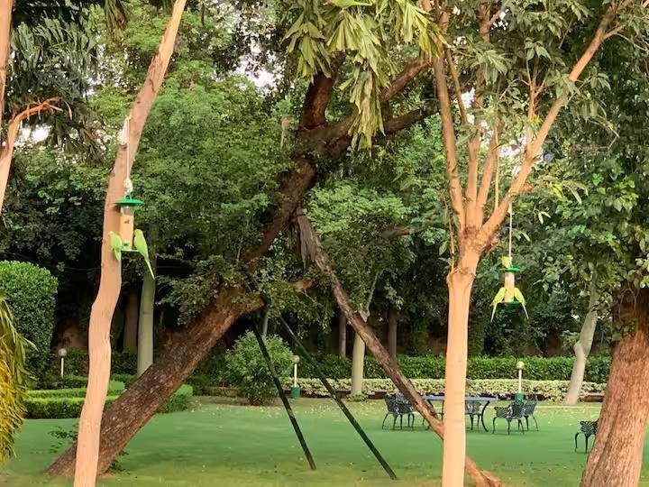 Beri Farm- A 5★ natural haven in Manesar (NCR) x Solis Nature