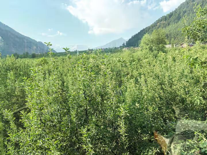 Panoramic Applefield View Room with Wind x Solis Nature