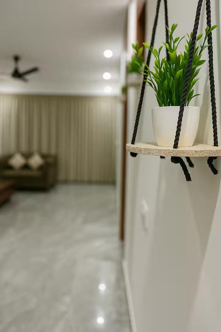 Atulya Casa x Solis Nature