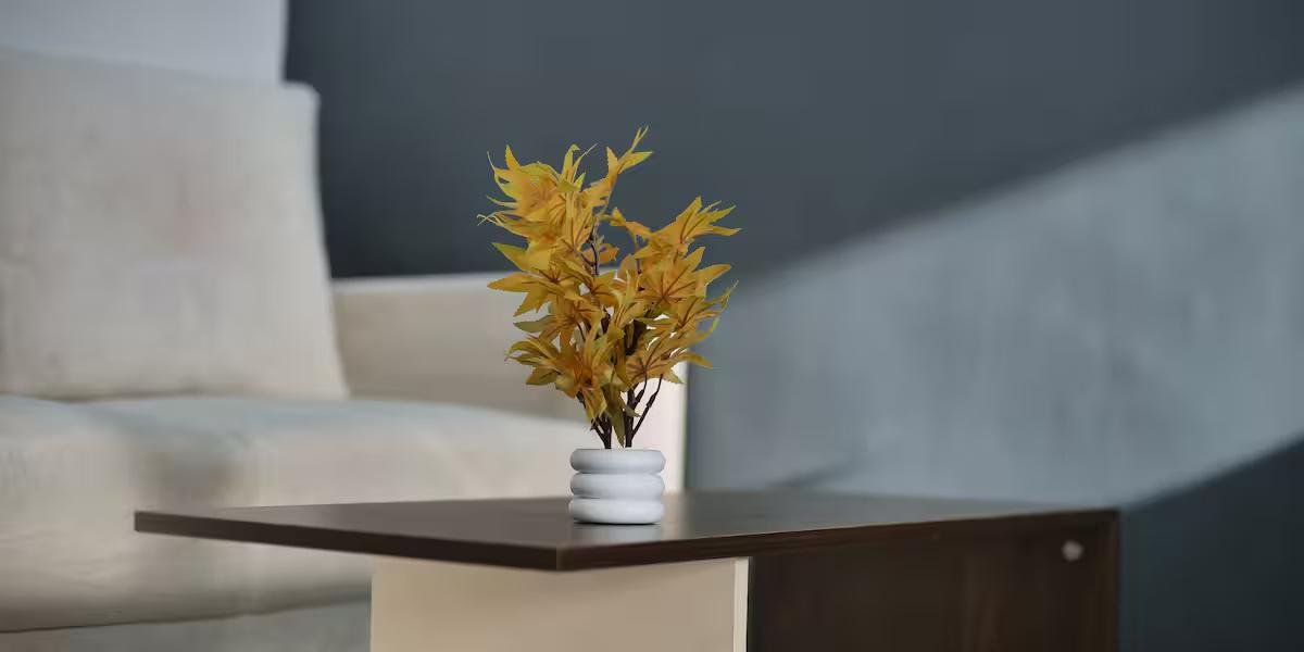 Peaceful apartment -  scenic Dehradun x Solis Nature