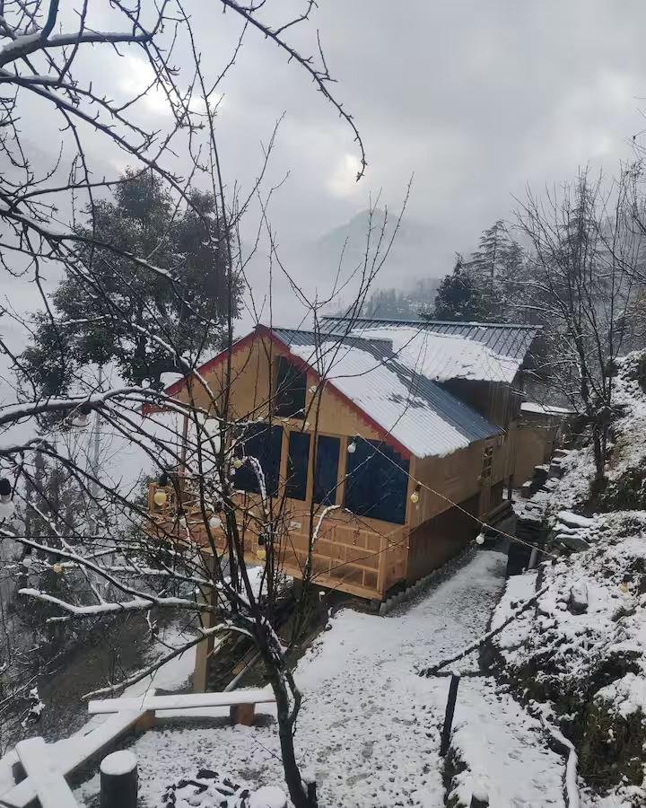 The Wooden Nest x Solis Nature