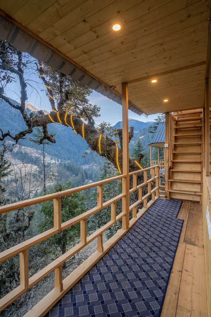 The Wooden Nest x Solis Nature