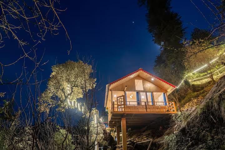 The Wooden Nest x Solis Nature