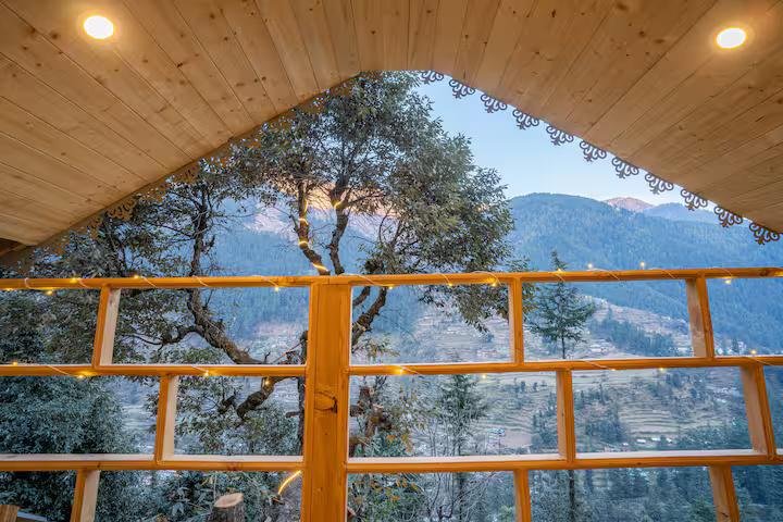 The Wooden Nest x Solis Nature