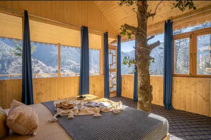 The Wooden Nest x Solis Nature