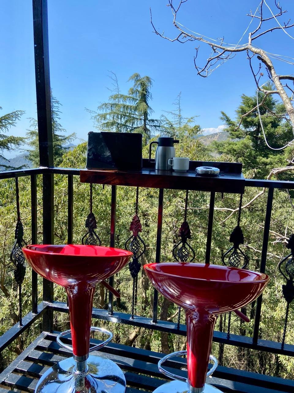 Nest x Solis Nature