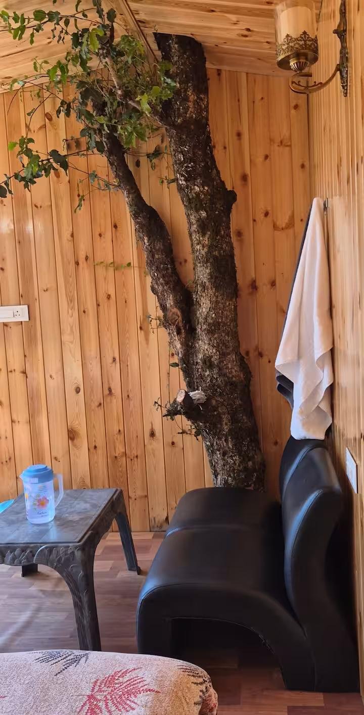 Bablu's Tree house x Solis Nature