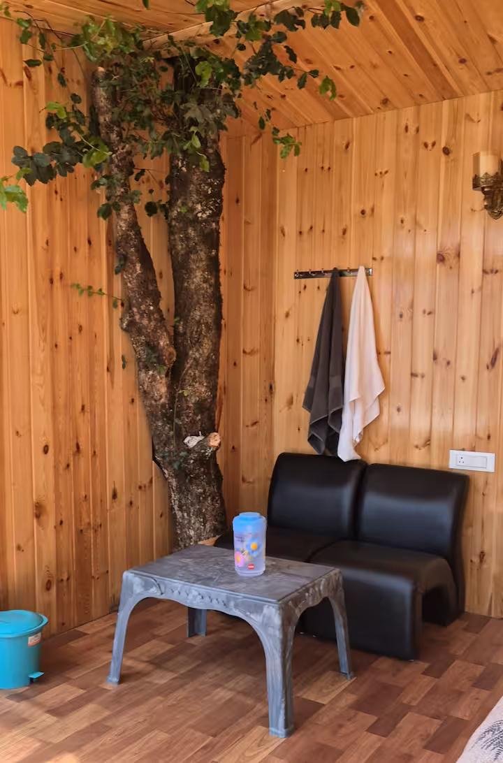 Bablu's Tree house x Solis Nature