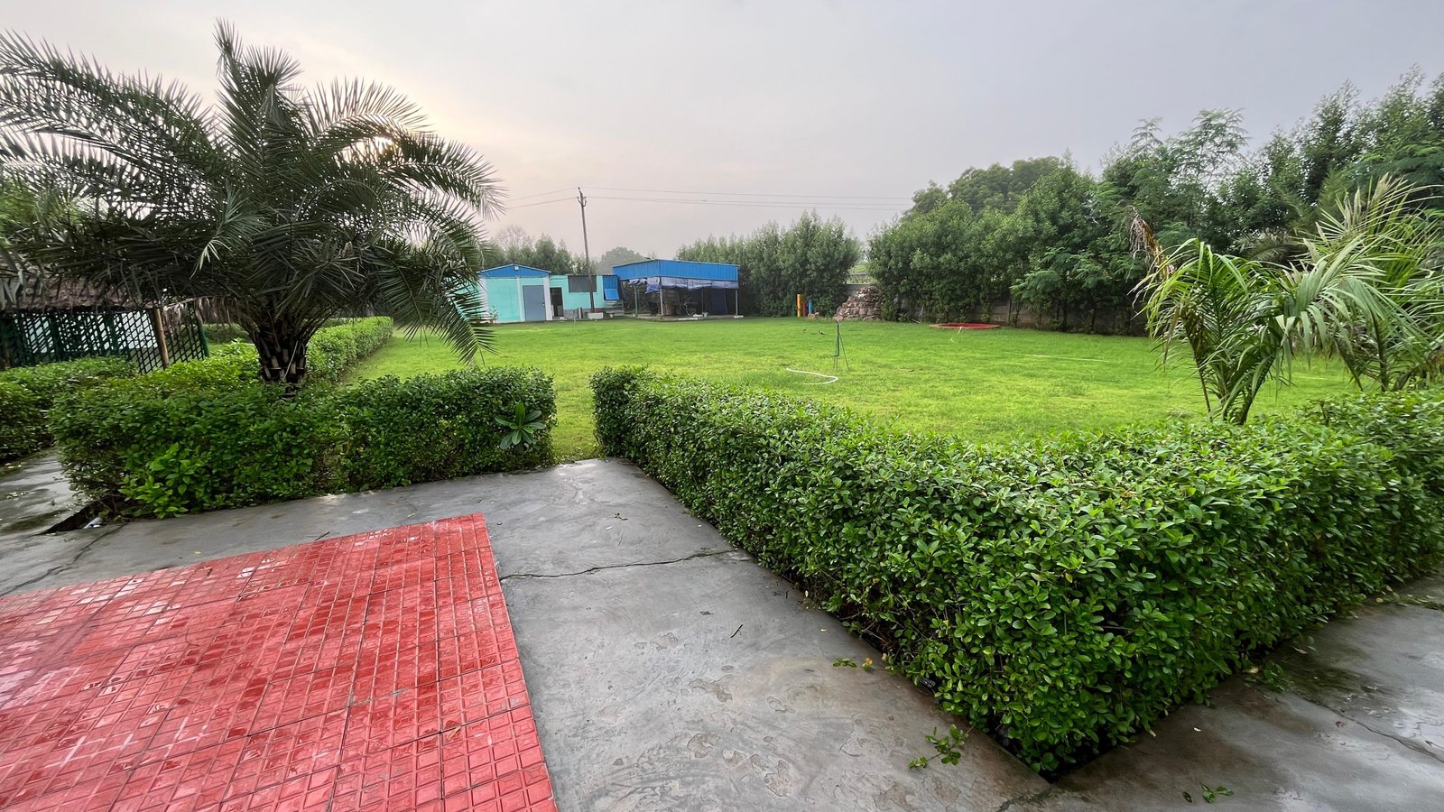 Brasa Villa (NCR) x Solis Nature