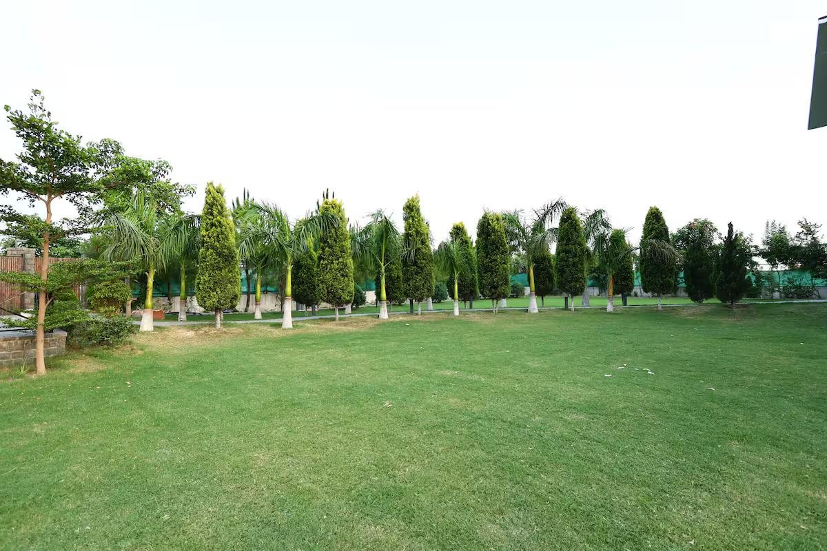 Luxury Property in Noida (NCR) x Solis Nature