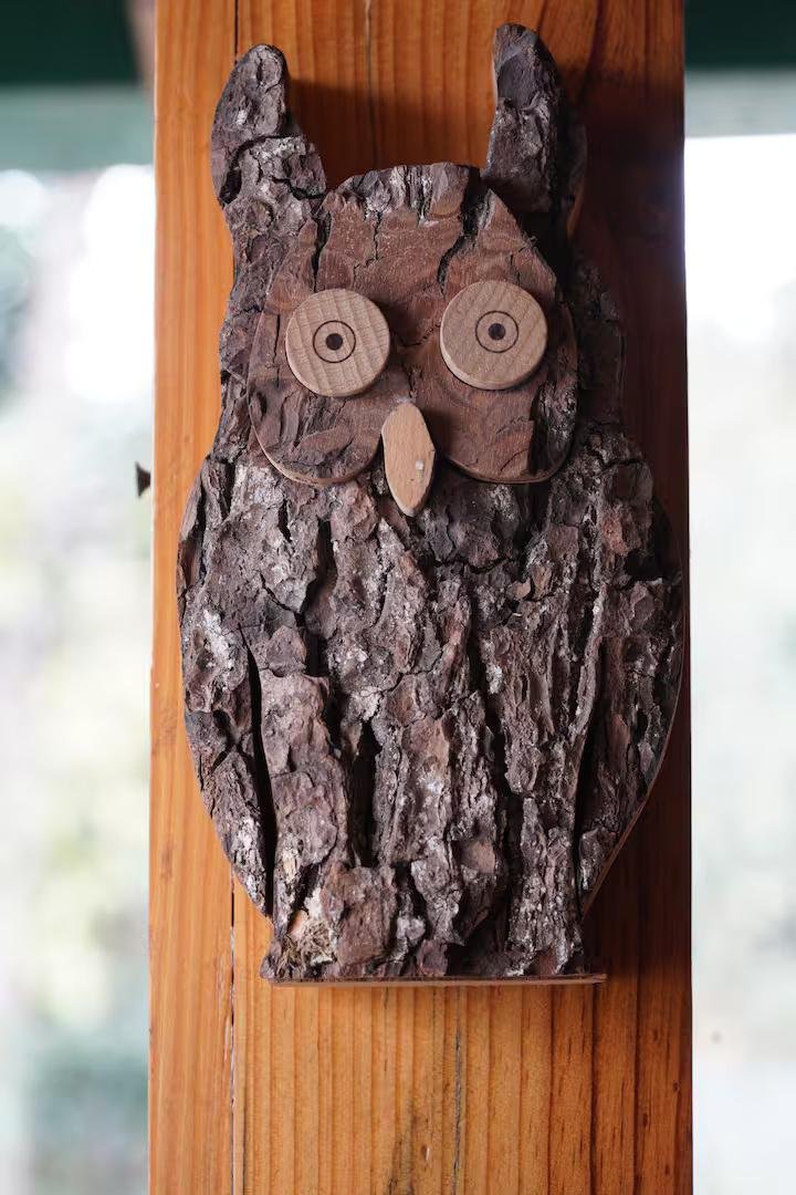 Wood Owl Cottage x Solis Nature