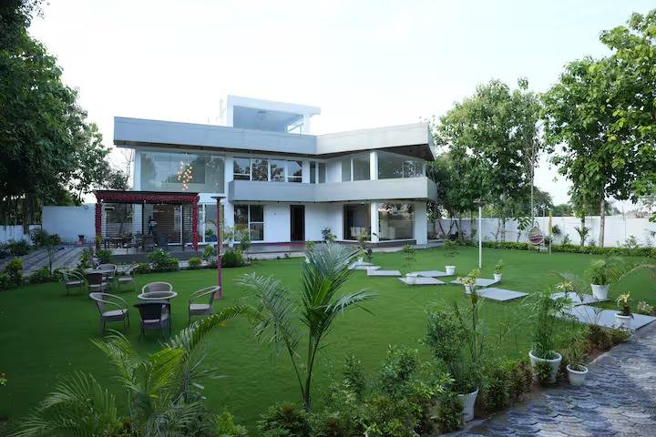 Modern Manor x Solis Nature
