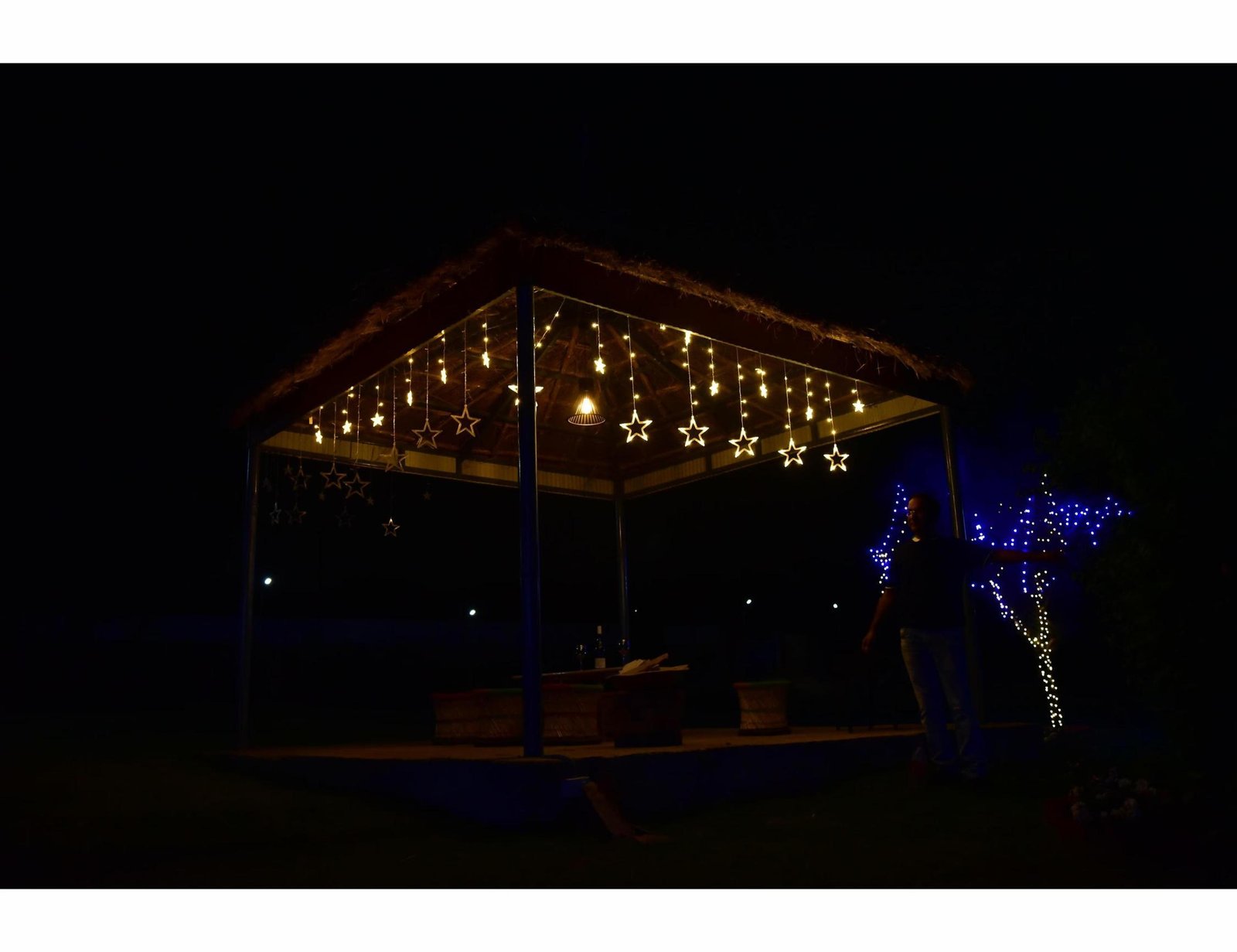 Wildside Cottage (NCR) x Solis Nature
