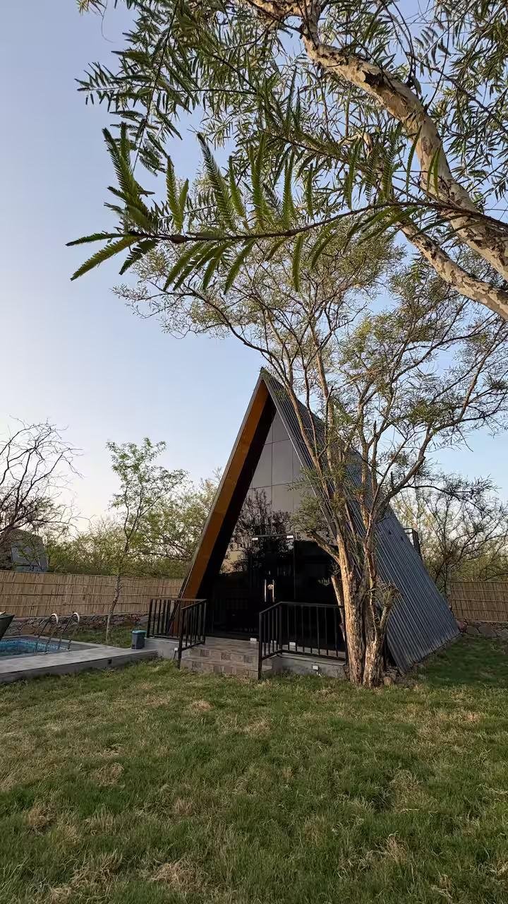 A-Frame Nest x Solis Nature