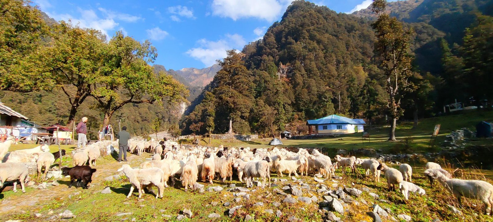 Bharat Homestay - The Native Himalayan x Solis Nature