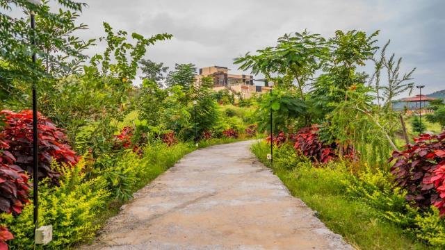 TapoBhoomi - A 4BHK Luxuries Pool & Farm Stay x Solis Nature