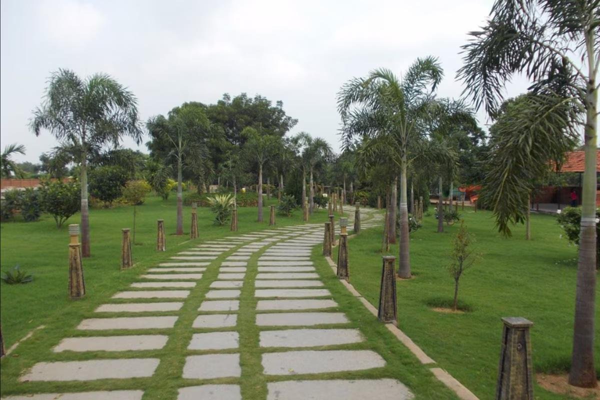 Dream Valley Golf Resorts and Spa x Solis Nature