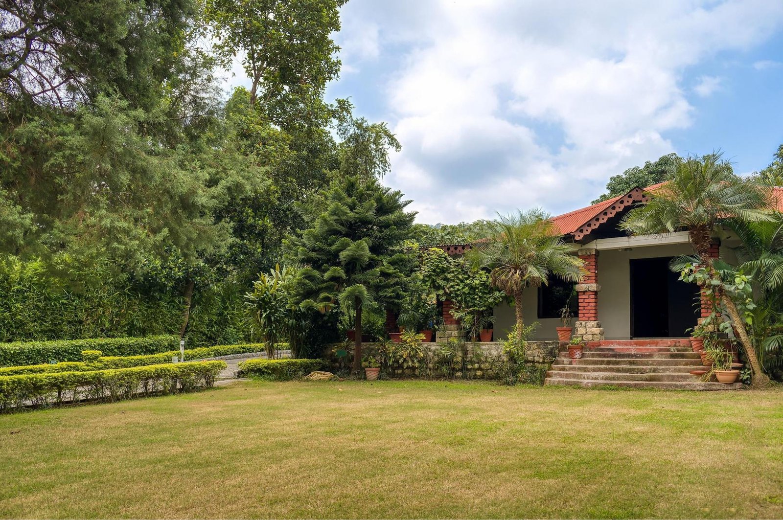 Maharani  Executive Room, Jim Corbett x Solis Nature