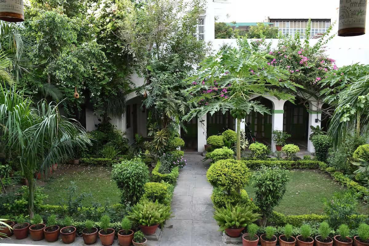Nawab ki Deohri x Solis Nature