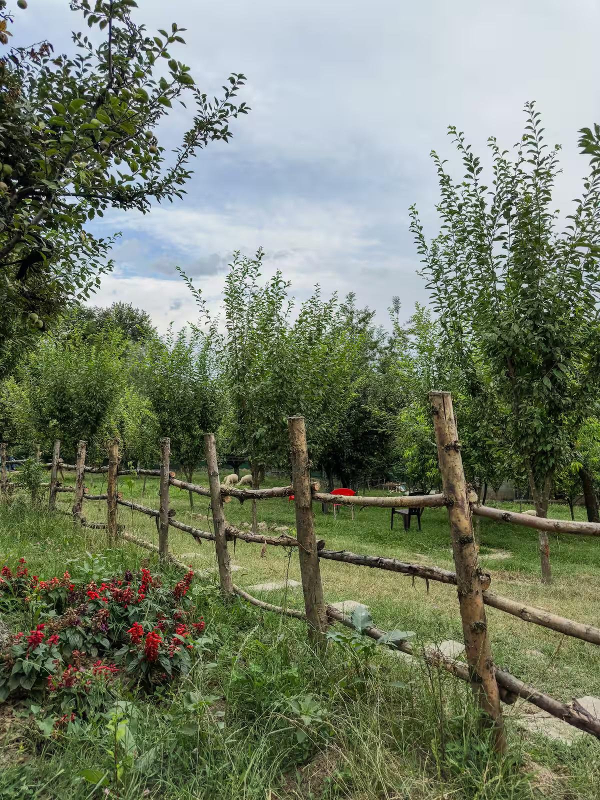 Villa Cottage In Srinagar x Solis Nature