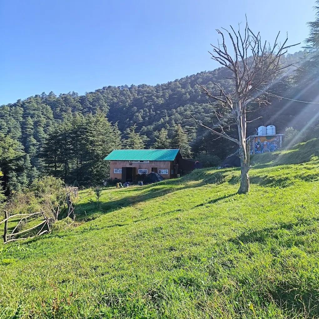 Nest in peace camps x Solis Nature