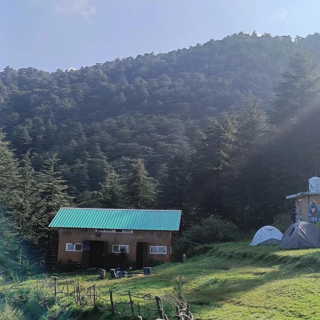 Nest in peace camps x Solis Nature