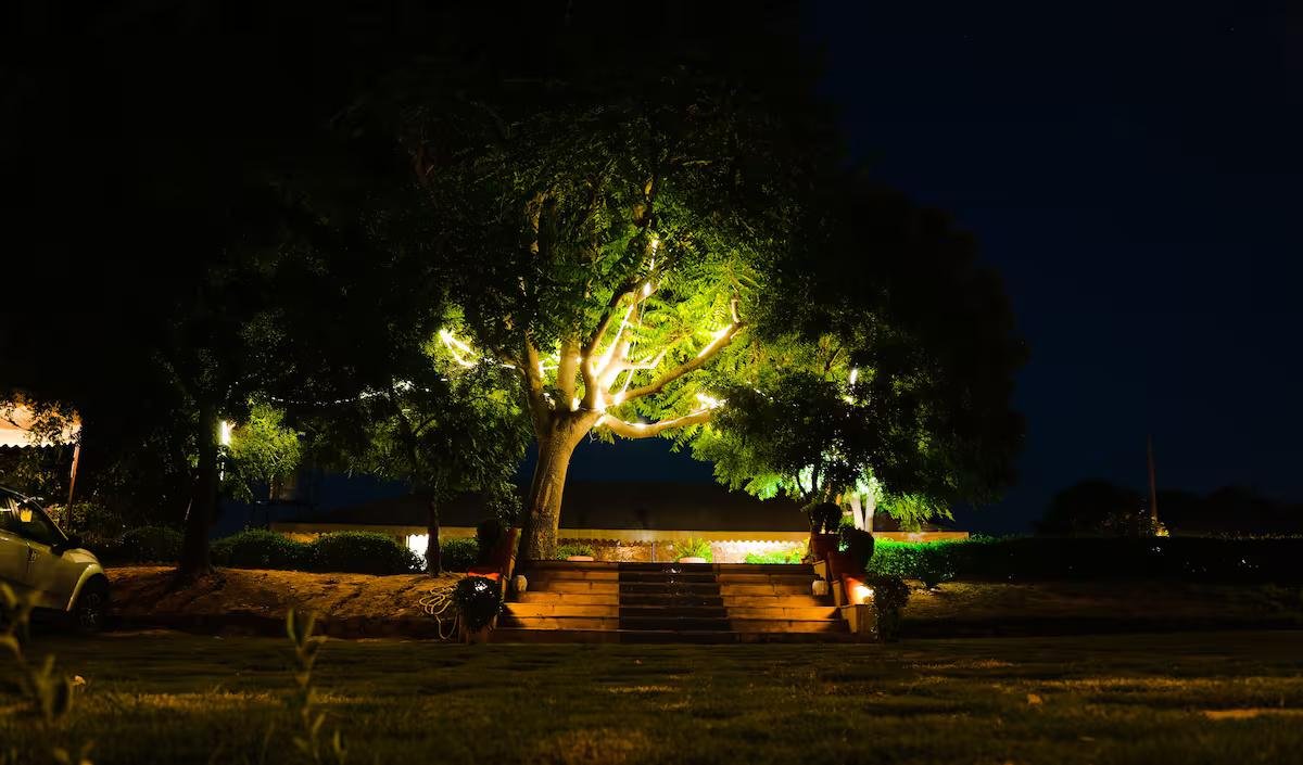 The Rustic Villa x Solis Nature