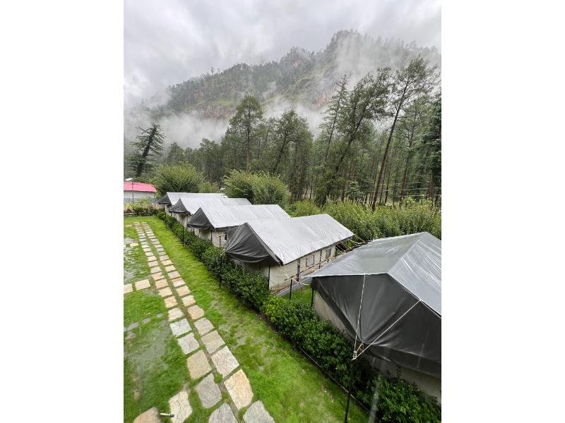 North Deodar Camps, Kasol x Solis Nature