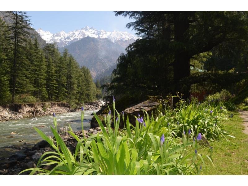 Kasol Camps | Huts & Cottages x Solis Nature